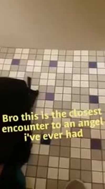Spread the love
