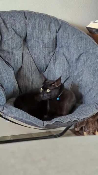 The TV spooked him