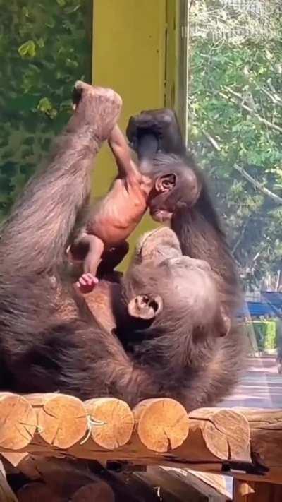 ? Lovely bonding time