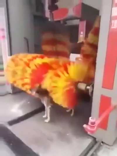 Every butt needs a good rub