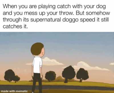 Such a good doggo