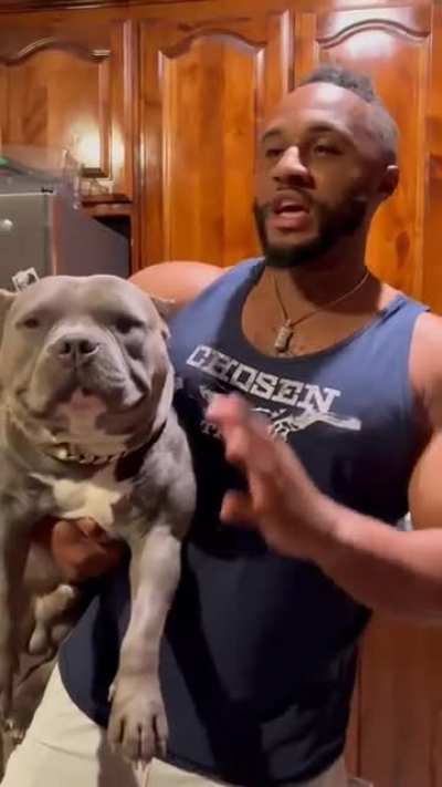 Not a thought running through that chonky head. Baloo is just happy to be. ??
