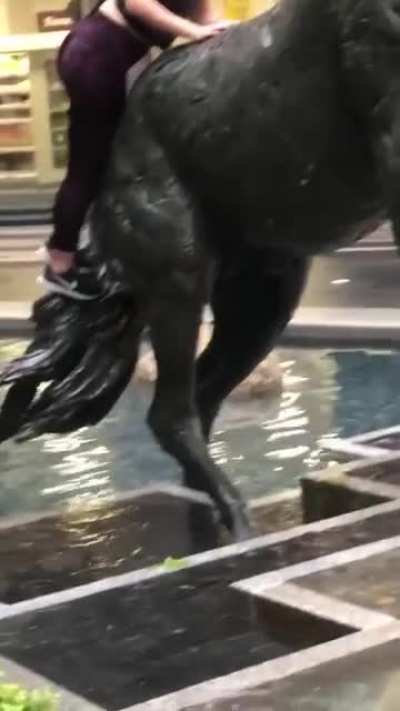 HMC while I try to climb this statue