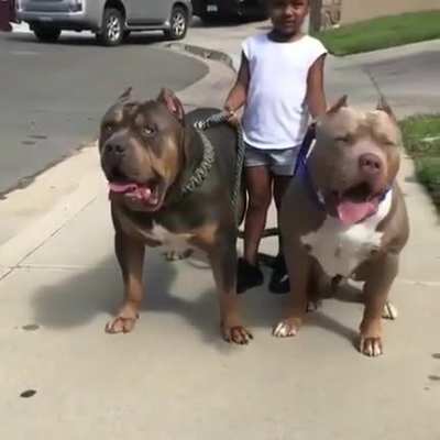 little girl with her two cute puppers ??