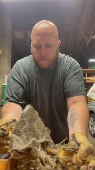 Bro tries to rescue squirrel caught in mess of stuff...