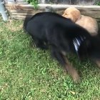 He's very excited about his new little brother