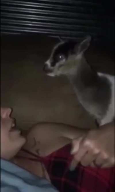 “Feed me!!!”
