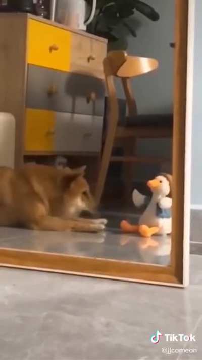 "You talk crap about me? I talk crap back!"