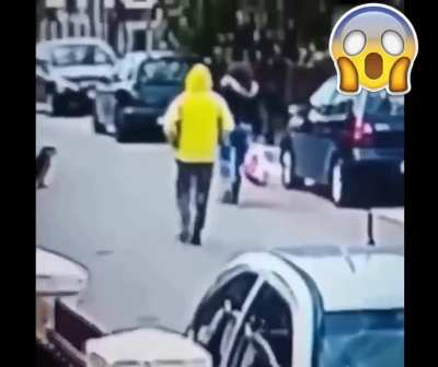Dog saves girl from being robbed! ?