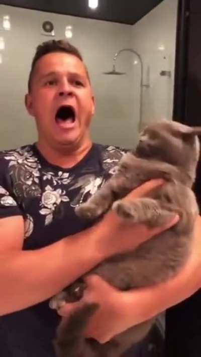 How dare you hiss at me, cat!