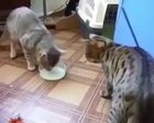 wait for it