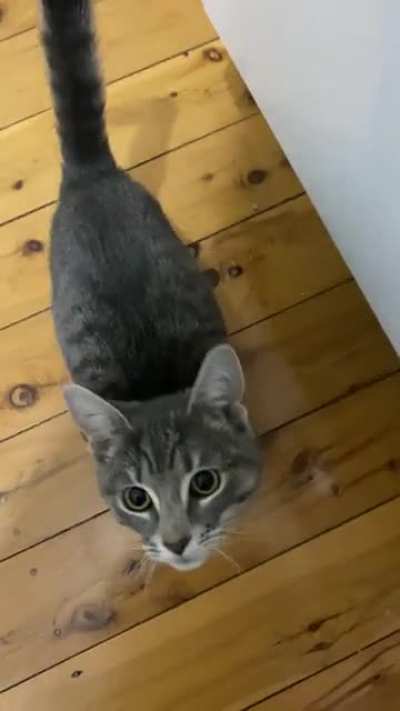 She only “yells” at me when I’m making her dinner