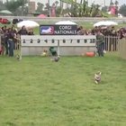 1,2,3 GO!