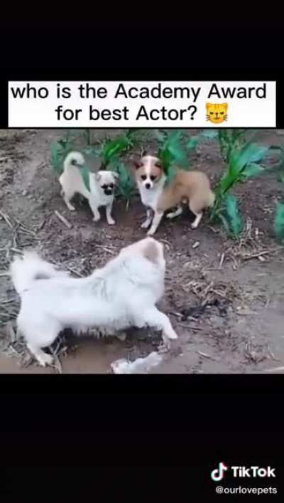 An the award ? goes to.....