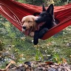 Wanna join?