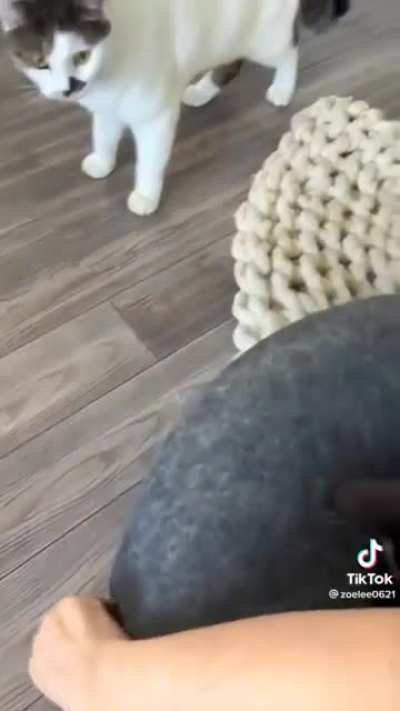 Secret Meeting