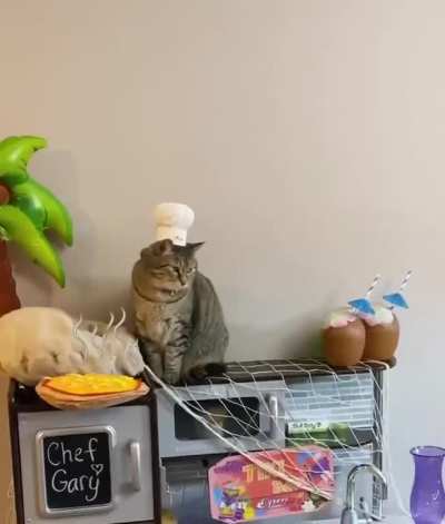 You wake up and your cat is making you cookies