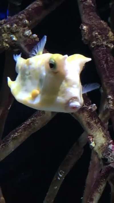 Fish heard him talkin smack & gave the stank eye ??