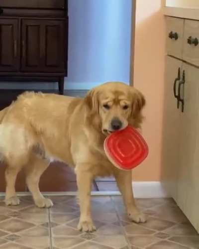 Busted ?