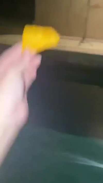 She didn't want the chip