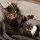 “Ma! Don’t forget the teddy!”