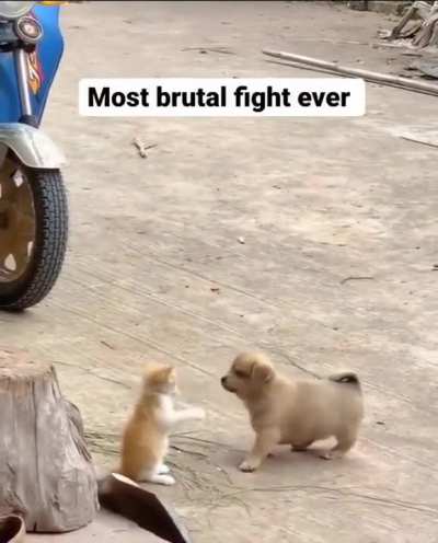 Assault
