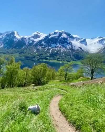 ? Epic Norwegian summer paradise