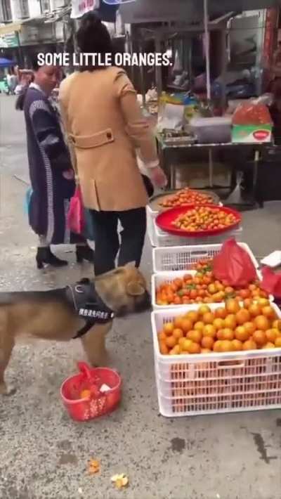 He is Genious ??