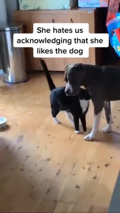 "you came home earlier"