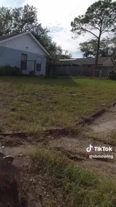 Satisfying lawn transformation