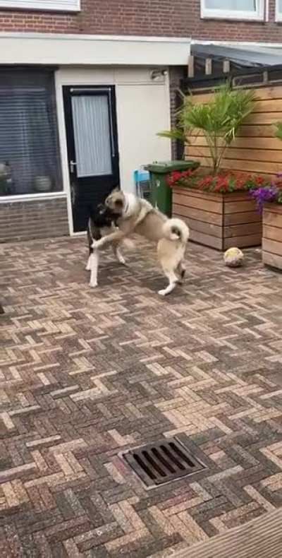 Takedown??