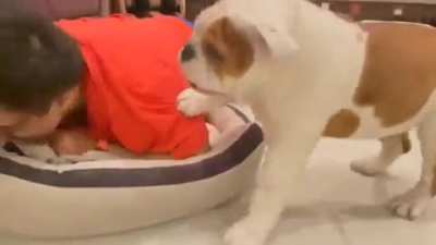 My bed now. Wait till the end ?