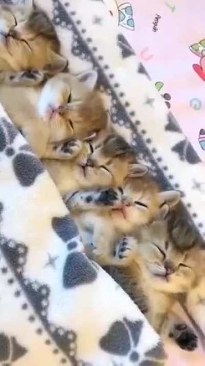 Melted my heart