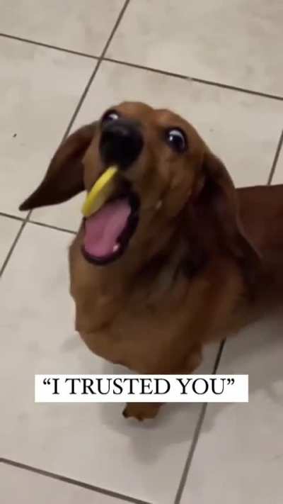 Blud trusted him?