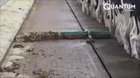 Automated cleaning