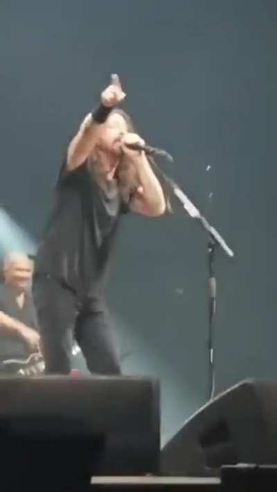 David grohl is a national treasure ????