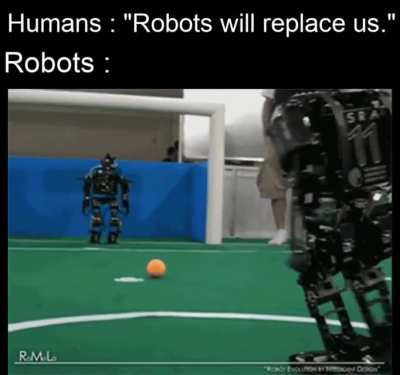 Robots are stupid