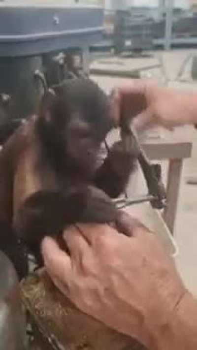 I got this Homie.
