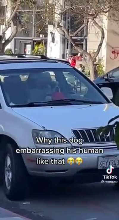 He’s got places to be human.?