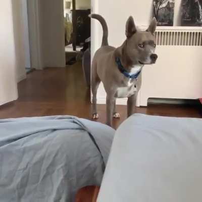 His reaction when he saw her