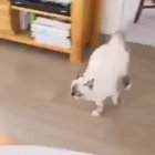 Playtime with Mom
