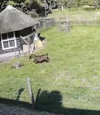 Maybe Maybe Maybe