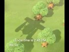 They visited their boyfriend in Animal Crossing