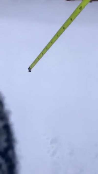 How deep is the snow?