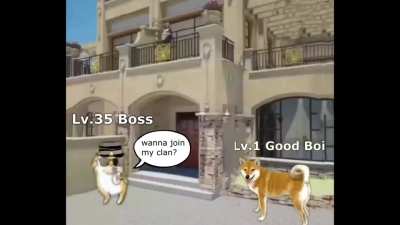 Life in Shobber City