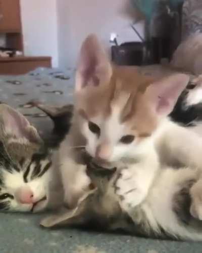 Lemme clean you up! ??