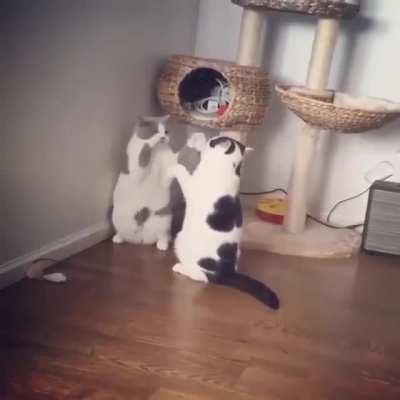 Surprise!
