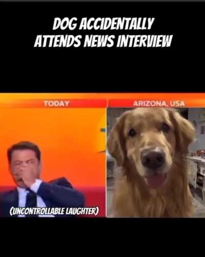 Dog wants to speak for its rights