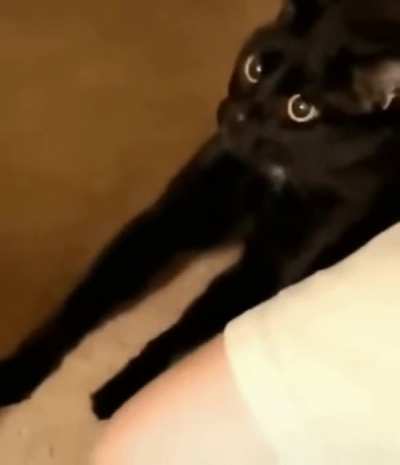 "how did you get in there?"