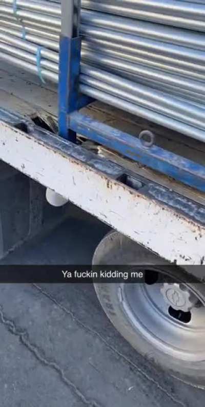 This was fun?